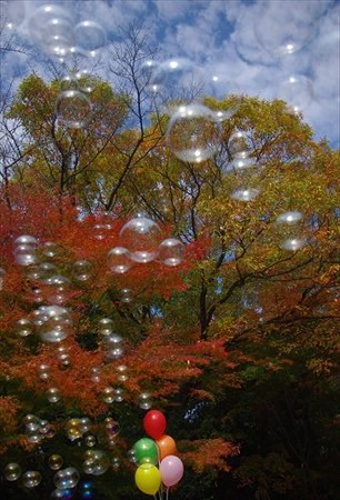 IMGP8964_1130