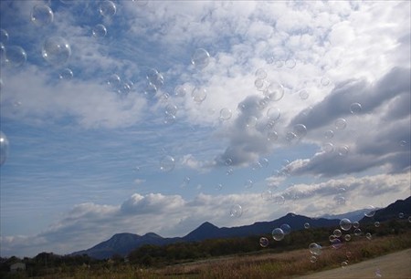 IMGP9750_1207