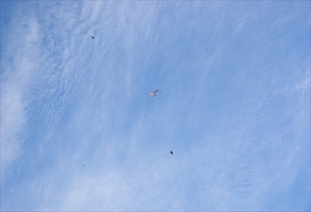 IMGP9857_1207