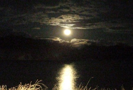 DSCF1296_0107