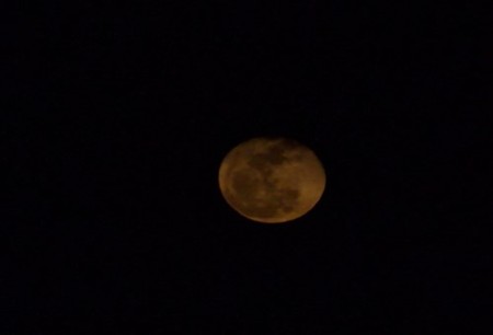 DSCF3710_0107