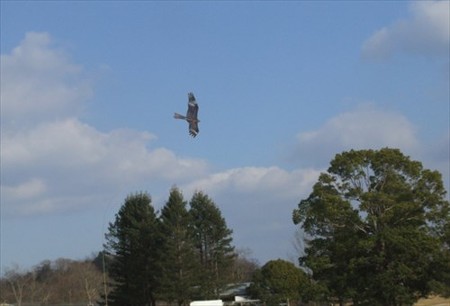 DSCF1403_0110