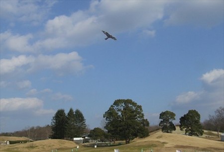 DSCF1449_0110