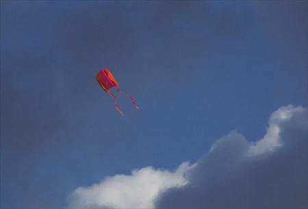 DSCF1659_0112