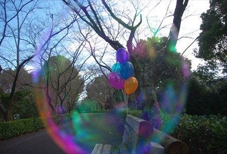 IMGP2308_0118