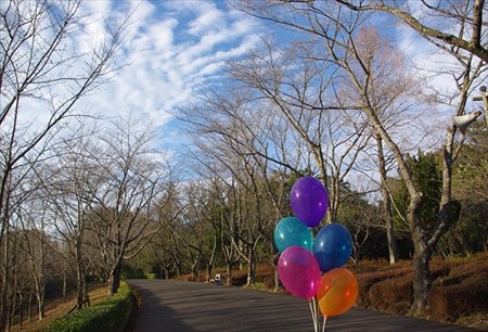 IMGP2409_0118