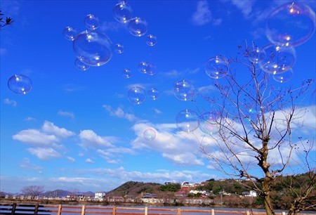 IMGP0853_0201
