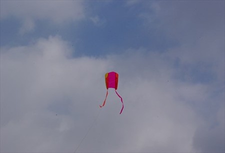 IMGP3176_0201