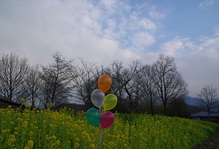 IMGP3222_0207