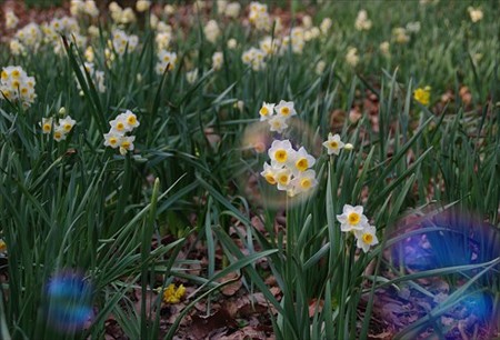 IMGP3470_0211