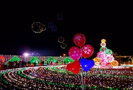 IMGP2156_0211