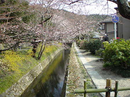 DSC00025