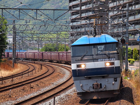 EF210貨物サントリーカーブ02