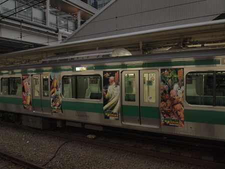 E233系普通 埼京線大崎駅02