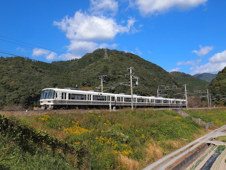 221系快速 山陰本線保津峡~馬堀