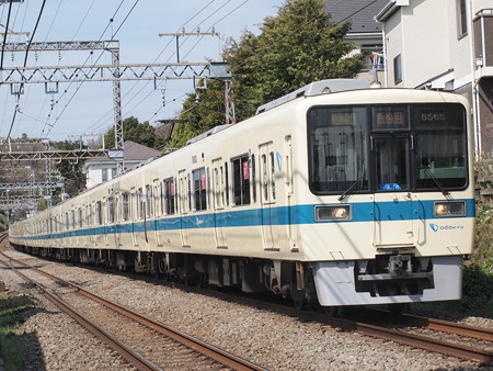 小田急8000形快速急行 小田急小田原線相武台前~座間