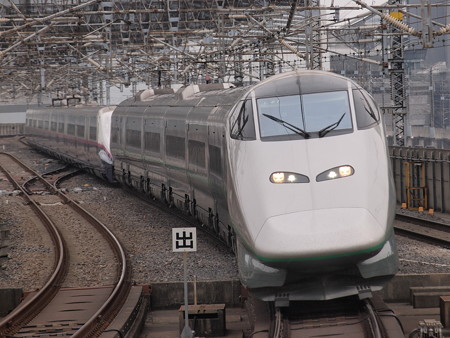 E3系つばさ 東北新幹線大宮駅 04