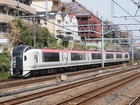 E259系特急成田エクスプレス横須賀線武蔵小杉~横浜01