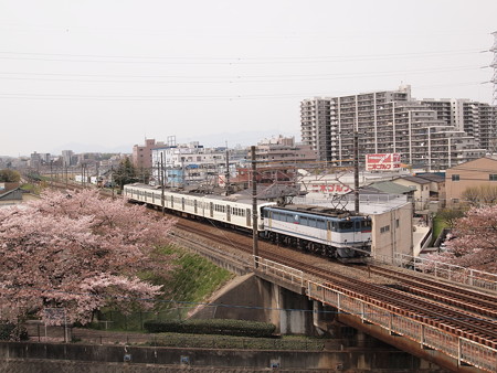 EF65 西武新101系甲種 中央本線日野~立川01