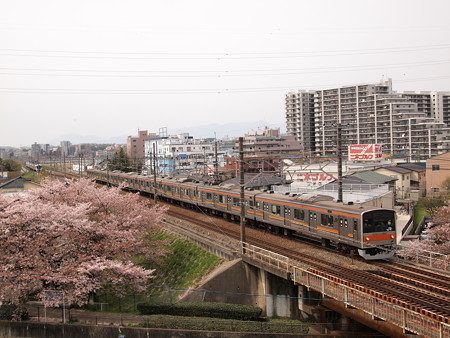 205系 むさしの号 中央本線日野~立川