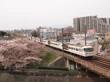 185系団臨 中央本線日野~立川