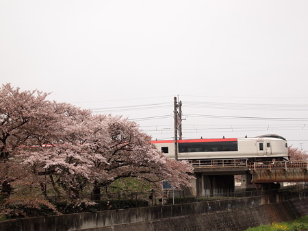 E259系成田エクスプレス 中央本線日野~立川