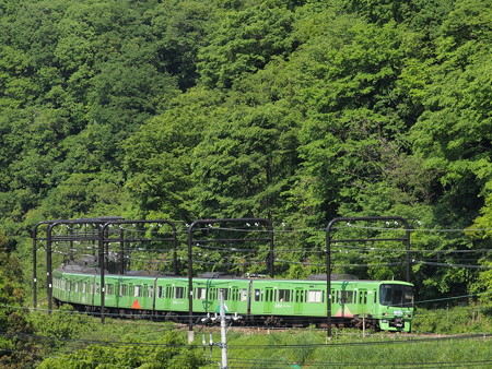 京王8000系準特急 京王高尾線高尾~高尾山口01