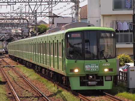 京王8000系準特急 京王線西調布駅02
