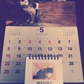 いつのまにか5月スタート ～Mayちゃん