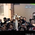 そのワンちゃん！我が子のように持ち上げてくれ、カー娘に見られてモテモテ(〃ω〃)ワンちゃんになりたい！( T_T)\(^-^ )猫になるんでしょ！(°▽°)そだねー！