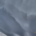 Photos: 11:43強風の1日～春の嵐の曇り空、ふんばる孤独の鉄塔(TZ85: impressive art ver)揺れホコリの家…4日27℃(~_~;)でも行っといてよかった