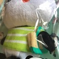 楽天買取おパンは緑ボーダーシャツにキャンパストートで今の季節、春の装い♪やっぱトート欲しいo(&gt;_&lt;)o一緒にカメラ入れてさ♪