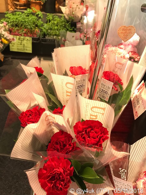 17:24通院帰りフラフラ中に購入カーネーション～何年ぶりか？自分の心の花が優しさが買った…～Red flower of carnation
