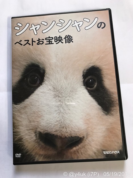 シャンシャンのベストお宝映像！箱からくり抜くと構図も変わりさらにドアップ！ムフフ映像満載DVD♪飼育係による成長記録映像で良いね～愛情と無邪気さに癒され孤独の涙は頬をつたい笑顔に( ´ ▽ ` )
