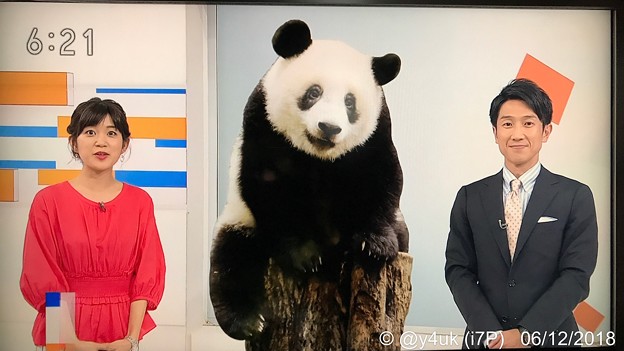 18:21NHKニュース首都圏ネットワーク☆シャンシャン1歳☆合原明子、赤服で祝福( ´ ▽ ` )シャンシャンバースデーパワーか数年ぶり腹から笑えるアホ話を電池の他人と盛り上がり2h40m楽しかった