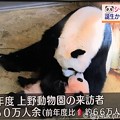 Photos: 18:24まだピンクのシャンシャンを可愛がるお母さんシンシン♪NHK首都圏ネットワーク「上野動物園の来訪者450万人余」会いたい☆子は親を選べない。子に罪はない。無償の愛( ´ ▽ ` )羨ましい愛情