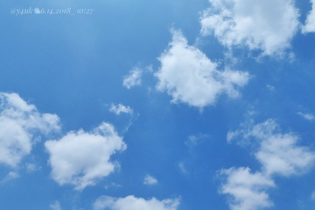 Photos: 10:27am only…梅雨の晴れ間( ´ ▽ ` )躍動し本能で慌てて取りに戻って撮影！青空＋雲＝サイコー！爽やかでもpm曇り夜は北風…雨…つかの間の貴重な晴れ間、小さな幸せblue sky飛ぶ