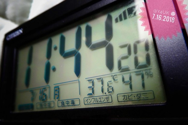 11:44am 37.6℃47％～午前中からHotday猛暑酷暑(~_~;)滴る汗の中、TZ85のマクロモード＆“トイポップ”で撮影～pmさらにヒートアップ命の危険は朝昼晩深夜早朝24h連日連夜
