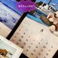 葉月ちゃん開始～8月1日。7月が8月並み異常気象だったから8月はもぅ9月でよい～わ岩合光昭カレンダーにゃんこも避暑に命がけ～気象庁も7月異常気象と認める(絞り優先+1露出)