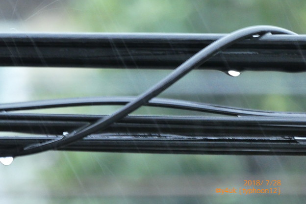 typhoon12 RainDrop black cable back summer～真夏の台風暴風雨、酷暑クールダウン若干。そして1週また今日13号coming関東(ズーム・絞り優先・撮って出し)
