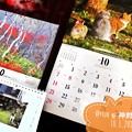 Photos: もぅ神無月にかこまれて～10月start近づくXmas～岩合光昭にゃんこカレンダーにかこまれて～もぅ来年カレンダー発売する1年の早さ～iPhone7Plus2年ケアも終わる