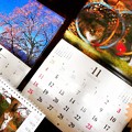 え？霜月11月START！嘘今9月でしょ？あと2ヶ月Xmas～岩合光昭にゃんこ信州青空風景カレンダー♪居心地良い場所に自分らしくいられる場所へ逃げたい温かい色恋ねこは知ってる(クリエイティブ:POP)