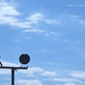Photos: 1分後すでに未確認飛行物体△基地方面から上がってくるぅ！もぅ瞬間移動し編隊のまま大空へ上ってゆく様だ！照明と綺麗な秋晴れ雲の優しい青空に描こうとブルーインパルスは夢と希望を乗せUFO秋桜歌いながら！