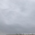 12.3#ワンツースリーの日:旅の“はじまりはいつも雨”歌おう～シップとユンケルで病院の矛盾でも純粋純白の心をもって写すとライト達も宝塚の揃いで8K並みのgo dreaming White Xmas