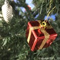 Xmas Present Tree～クリスマスツリー☆赤い箱が温かい( ´ ▽ ` )12.3#ワンツースリーの日に行った通院旅先で今年はずめて付け足したプレゼントオーナメント見ただ！サンタさんからだ