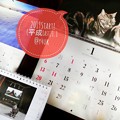 Photos: 2019Start!平成最後の1月開始！今年も岩合光昭にゃんこカレンダーx2と養命酒信州です！本年もよろしくお願いします。優しく温かく笑え穏やか過酷人少なく平和に出逢え体調悪化なく青空の猫たちの様に。
