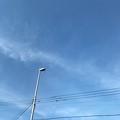18旅先その2.街灯、青空の雲、電線の上で踊っていた春が来る。青さと白さが自分の本心のピュアを代弁してくれてる様で。生きていきたいのに(24久々Macで音楽購入挿入いろいろ箇所壊れてきた8年がんばれ)