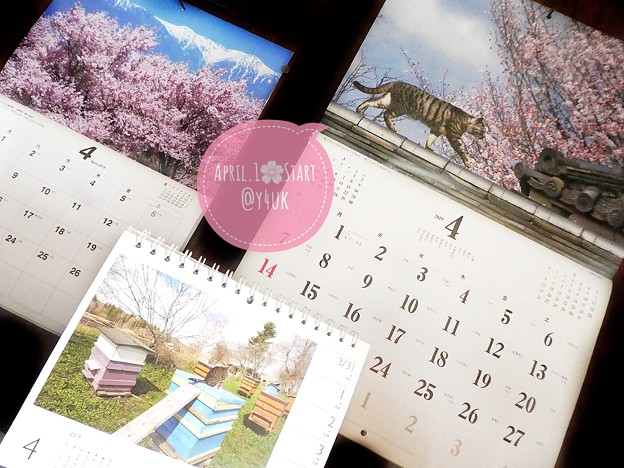 もぅ4月スタート春桜～岩合光昭カレンダーにゃんこ屋根を背筋一直線で可愛い桜越し～南アルプス山脈と桜満開～ミツバチハウスの上でネコ佇む～春ピンク桜いっぱい、ねこ写真、小さな幸せ～平成最後の4月の桜の猫山