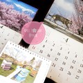 もぅ4月スタート春桜～岩合光昭カレンダーにゃんこ屋根を背筋一直線で可愛い桜越し～南アルプス山脈と桜満開～ミツバチハウスの上でネコ佇む～春ピンク桜いっぱい、ねこ写真、小さな幸せ～平成最後の4月の桜の猫山