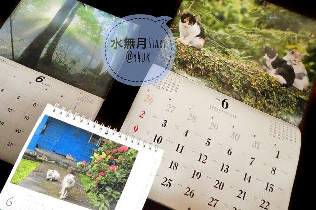 もぅ半年すぎる最後の月の6月スタート“水無月の夜”に岩合光昭にゃんこ沖縄シンガポール子猫たち＆信州森の神秘光芒カレンダー～毎月恒例めくり梅雨が暑さがやってくる恐怖を写真達が癒してくれ今月もよろしくです